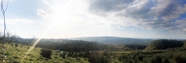 Panoramic view from end of Lletty Road